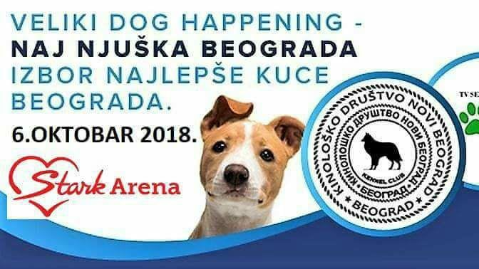 Druženje dece i pasa ispred Štark Arene 6. oktobra 1