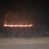 Poslednje tri sedmice na teritoriji Požarevca besnelo više požara 4
