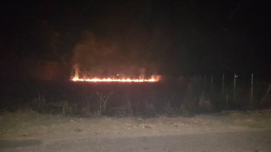 Učestali požari na njivama 1