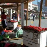 Kad zamirišu paprike 6