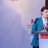 Brnabić: Pokušavamo da zatvorimo Pandorinu kutiju 1