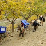 Izbore u Avganistanu obeležilo nasilje 9