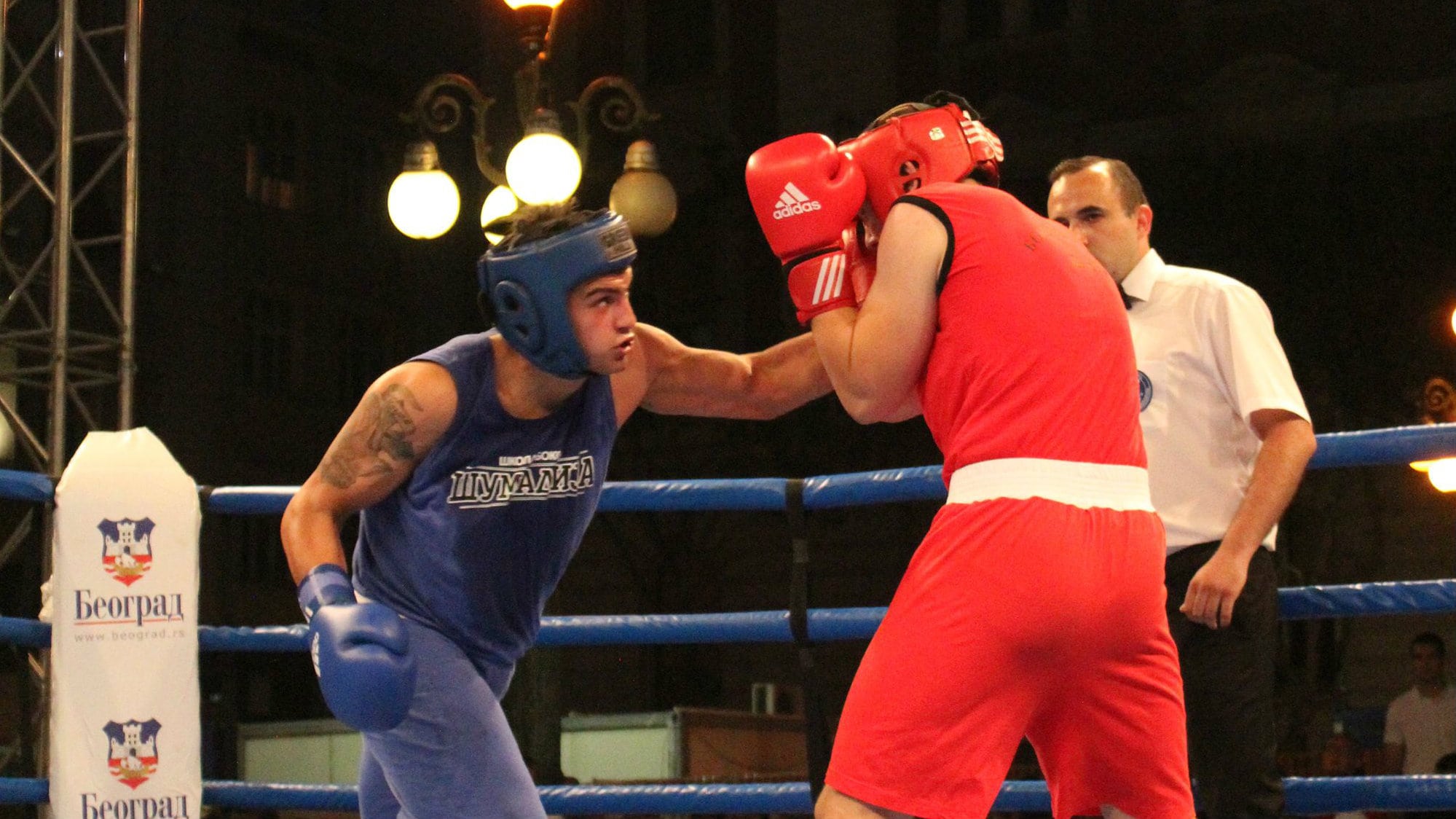 Bokserska Liga Srbije startuje 18. oktobra 1