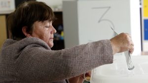 "To je velika promena": Svaki četvrti birač u Evropi glasa za krajnje desničarske partije 3