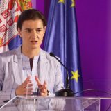 Brnabić: Skotova izjava neprimerena, Vulin adekvatno reagovao 7