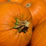 Delotvorna svojstva ulja od bundeve 15