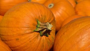 Voće i povrće kojim možete da hranite psa 4