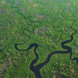 Klimatske promene i suptropska močvara Everglejds: vreme da se promisli 3