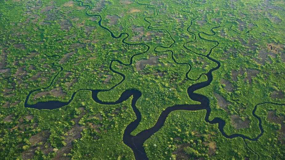 Klimatske promene i suptropska močvara Everglejds: vreme da se promisli 1