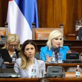 MIhajlović: Neznanje je nekada majka drskosti 13