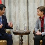 Brnabić: Japan je važan partner u političkom i ekonomskom slislu 7