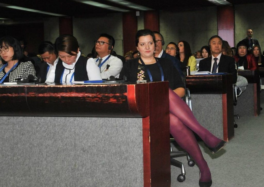 "Skup organizovan daleko ispod očekivanja kineskih partnera" 2