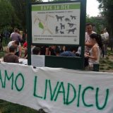 Građani - partneri vlasti ili gerilci? 7