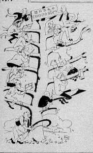 Ostrvo kojim "vladaju" žene 2