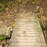 Utiče li jesen na naše zdravlje? 10