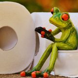 Oblaganje daske na WC šolji papirom ne štiti od bakterija? 10