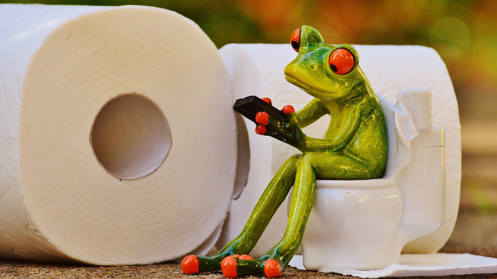 Oblaganje daske na WC šolji papirom ne štiti od bakterija? 1