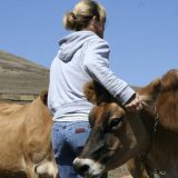 Žene samo u 17 odsto slučajeva vlasnice poljoprivrednih gazdinstava 6