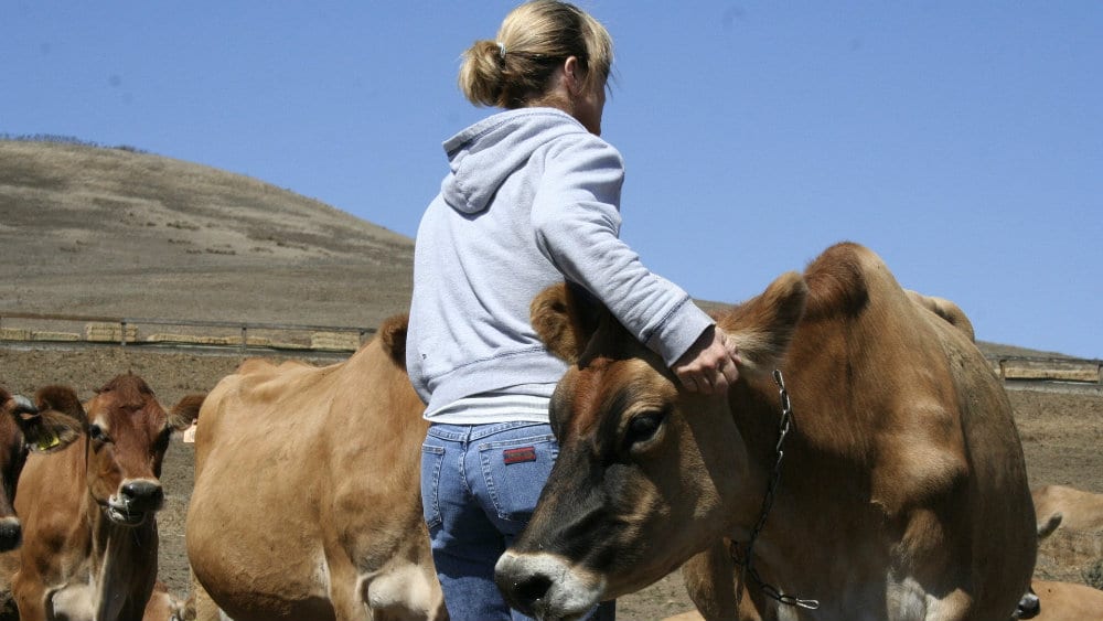 Žene samo u 17 odsto slučajeva vlasnice poljoprivrednih gazdinstava 1