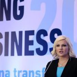 Za godinu dana nijedna reforma 11