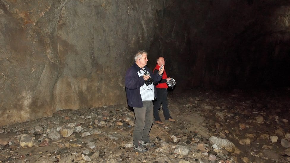 Bosna i Hercegovina: Šišmiši imaju prvi saobraćajni znak 3 Istraživači