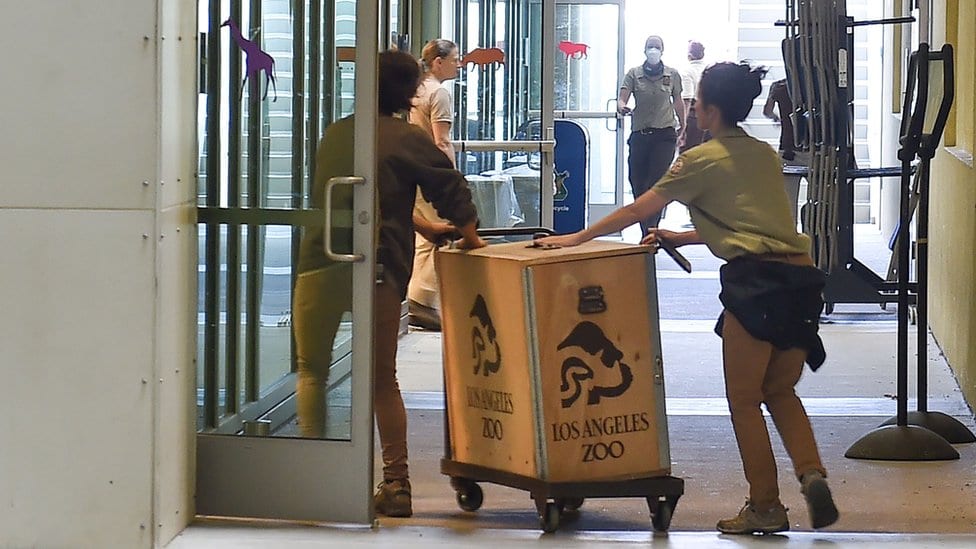 Radnici zoo vrta guraju kutije sa životinjama