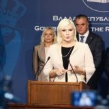 Mihajlović: Izmene i dopune Zakona krajnji korak borbe sa divljom gradnjom 15