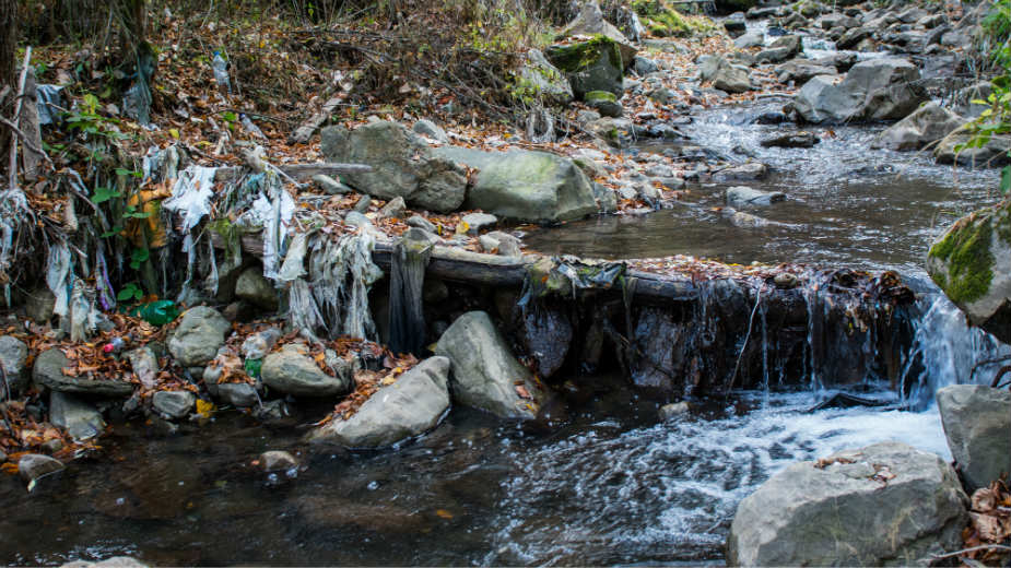 "Nema gradnje elektrana u nacionalnim parkovima" 1