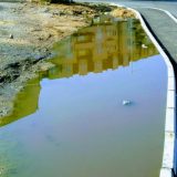 Na Mirijevu tri divlje deponije, pacovi i izlivanje kanalizacije (FOTO) 6