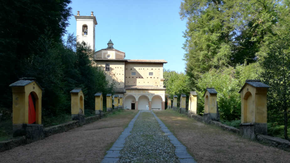 Švajcarska (2): Šume Monte Arbostore 1