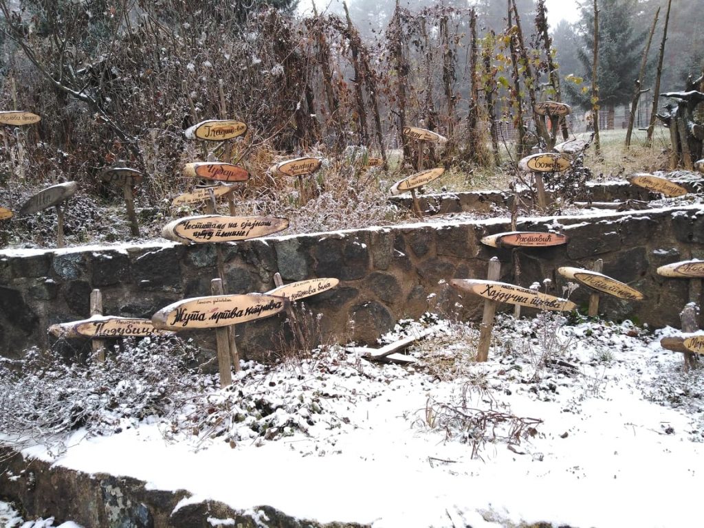 Prirodne lepote i tradicija na Zlatiboru 17