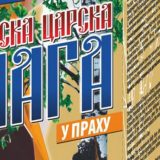 Ruska carska čaga u prahu – Najsnažniji detoksikator i antioksidans 5