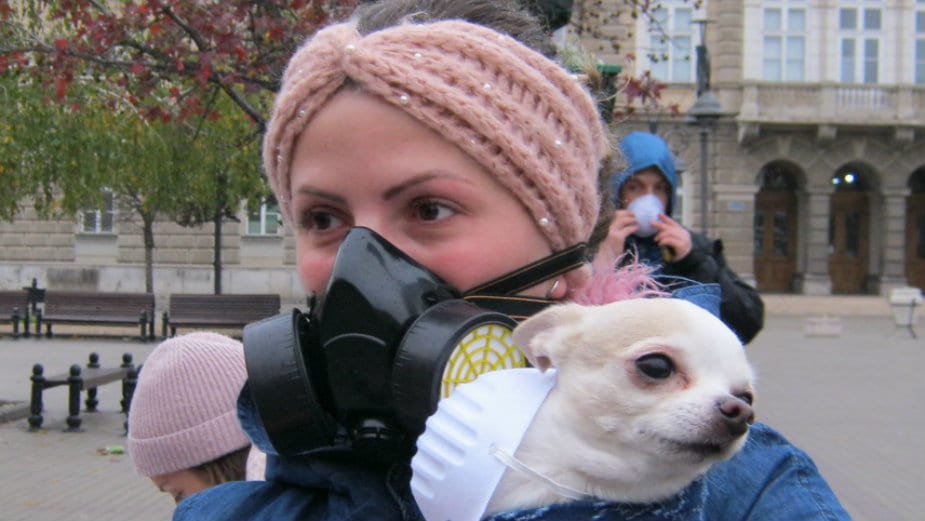 Bal pod maskama u centru Smedereva 1