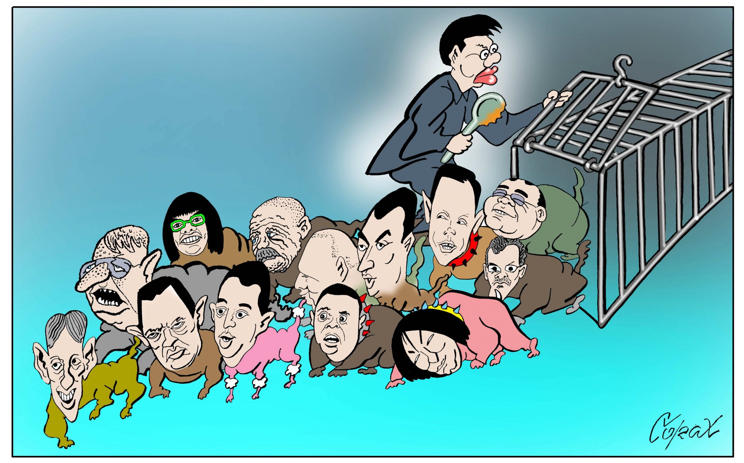 Corax 8