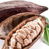 Nepoznata istorija kakaa 8