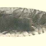 Najstarije američko koplje 14