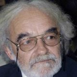 Novosadski Dnevnik: Čestita kuća u šakama hulja 8