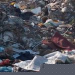 Divlja deponija kod Pančevačkog mosta (FOTO) 2