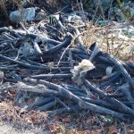 Divlja deponija kod Pančevačkog mosta (FOTO) 3