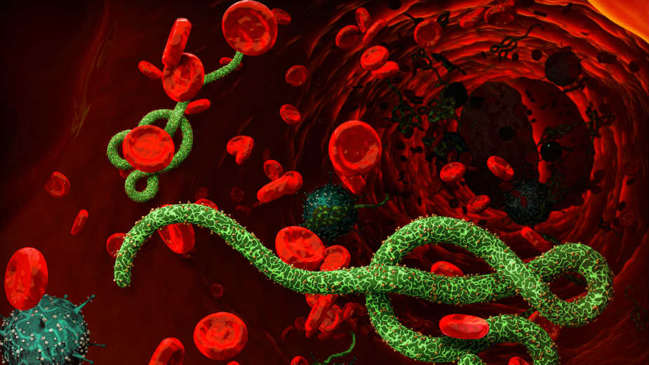 Veštačka inteligencija u borbi protiv smrtonosnih virusa 1