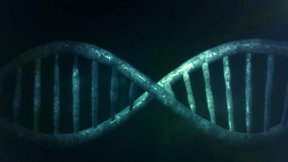Najistraživaniji ljudski geni (1. deo) 1