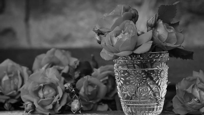 Umro hrvatski istoričar Ivo Banac 1