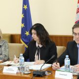 Đukić Dejanović: Rani brakovi prekidaju detinjstvo 2