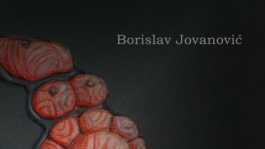 Prvi obiman rad srpske arheologije o Keltima 1