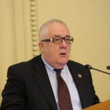 Kostić jedini kandidat za predsednika SANU? 4