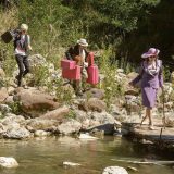 Kopanje tuđe bašte 7