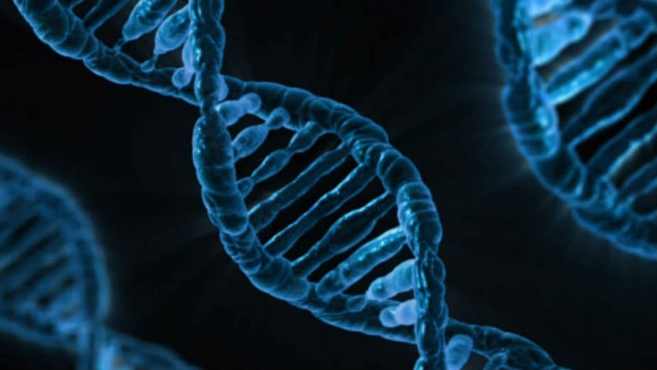 Projekat kodiranja svake kompleksne vrste 1