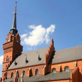 Poljske bogomolje, (ne)očekivano utočište ptica 5