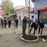 Zasađeno deset stabala u Skadarskoj i Ulici Emilijana Josimovića 2