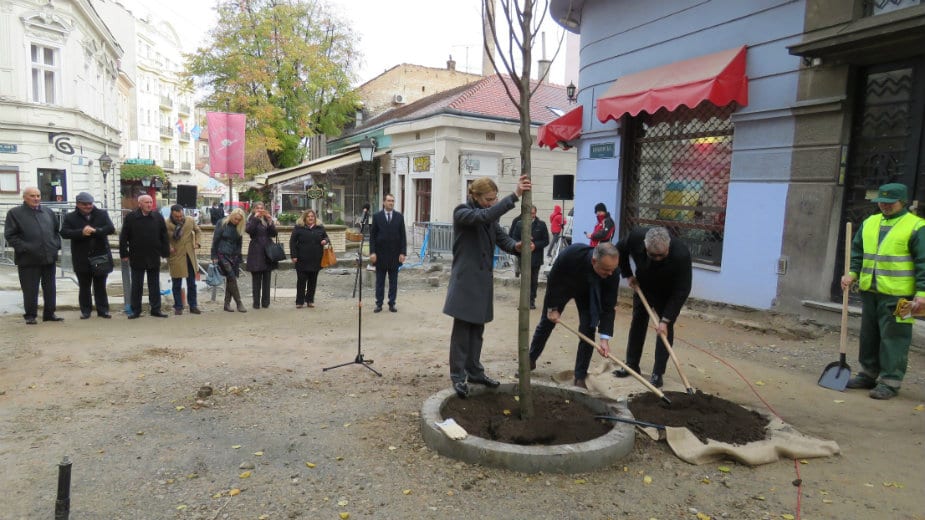 Zasađeno deset stabala u Skadarskoj i Ulici Emilijana Josimovića 1